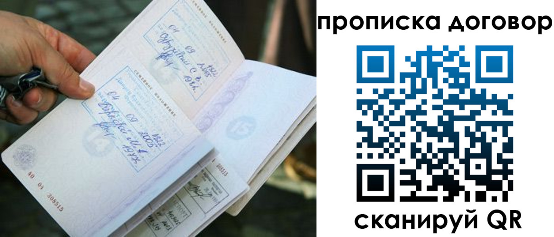прописка для школы в Шумихе